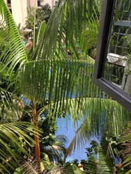 East Meadows (D16), Condominium #194518172